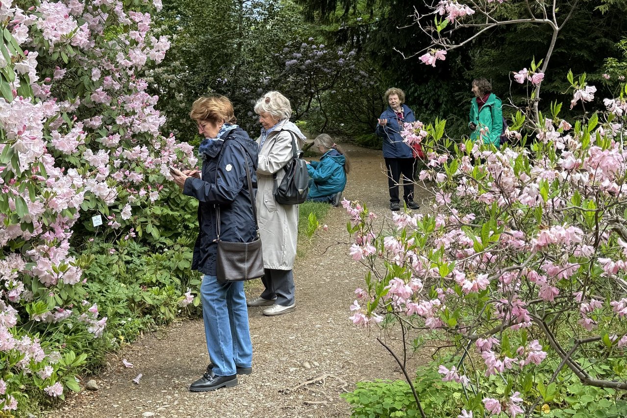 260507-Botanischer_Garten-093ak.jpg