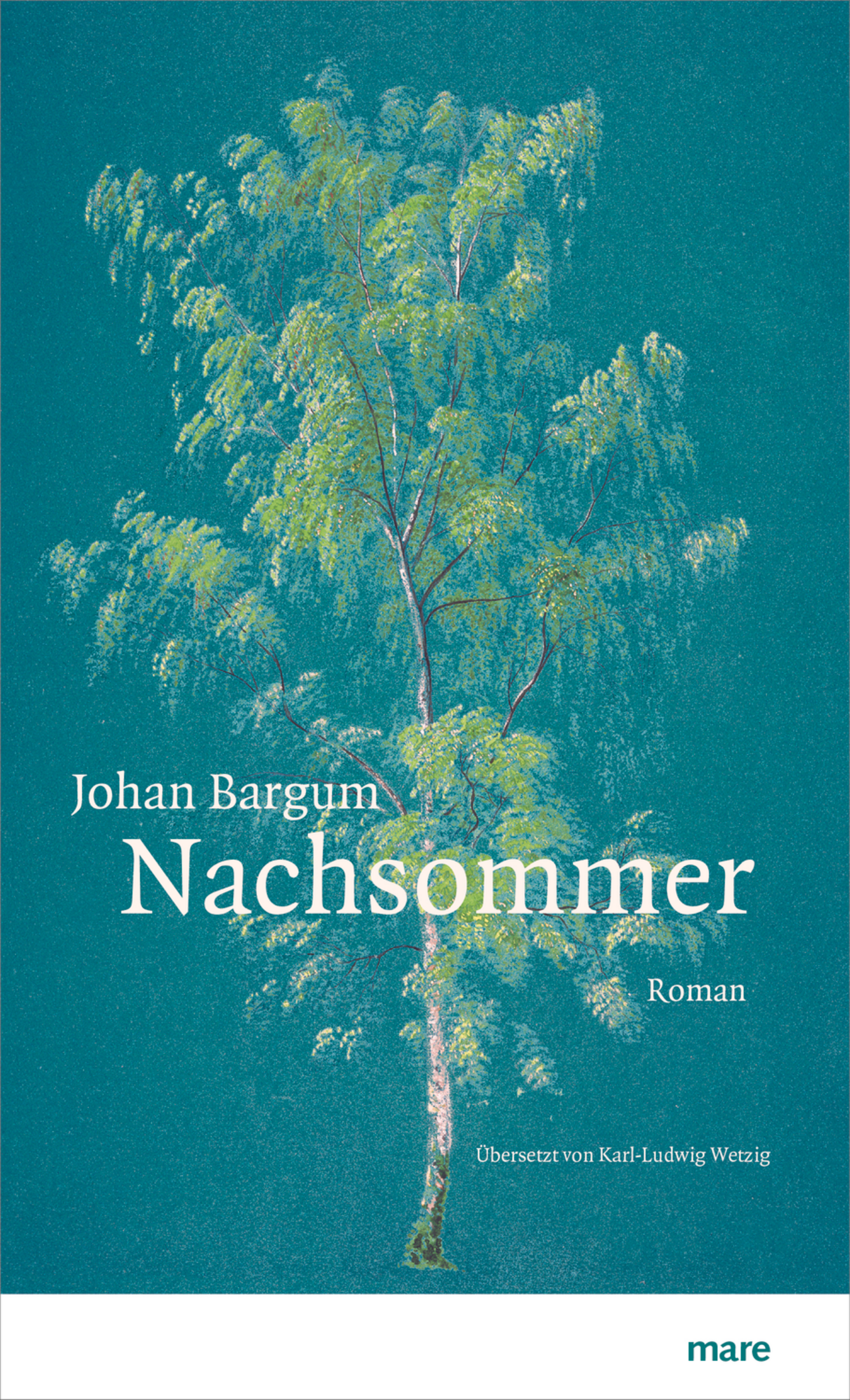 BuchtippJohanBargumNachsommer.png